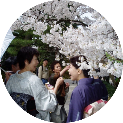 着物で散策